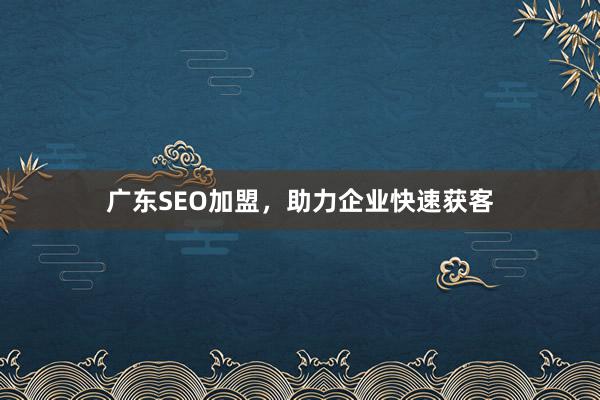 广东SEO加盟，助力企业快速获客